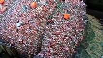 Des filets de pêche géants qui captures 100 tonnes de poissons - Désastre écologique