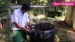 Comment faire du compost maison