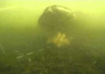 Claw Crabbing in New Jersey