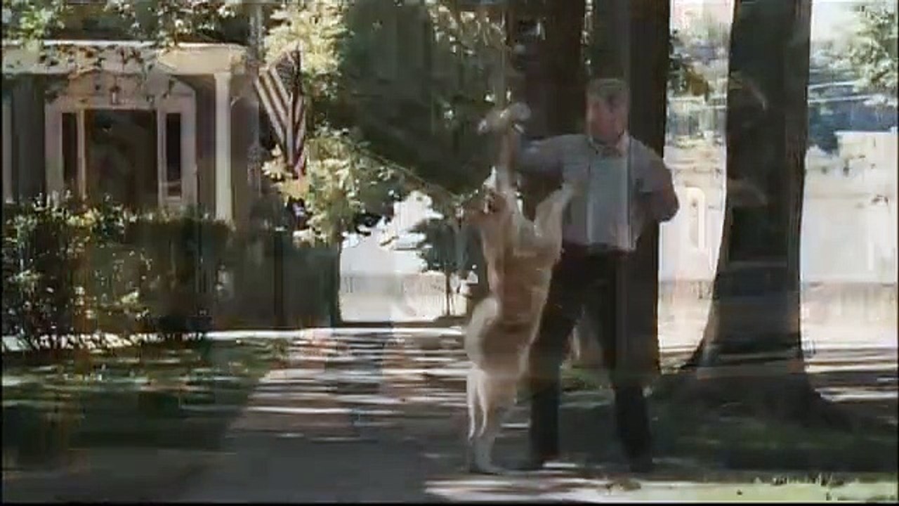 HACHI 約束の犬 (Hachi: A Dog's Tale) trailer