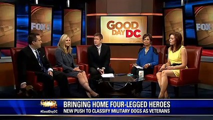 American Humane Association Warrior Dogs on Fox's Good Day DC