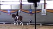 Clydesdale Dressage Display QLD Dressage Festival