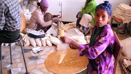 Filiere Agricole in Oromia