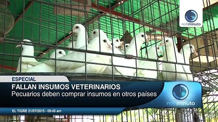 En Venezuela los insumos veterinarios han incrementado entre 800% y 1000%