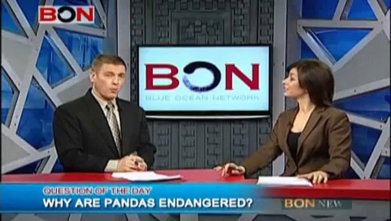 Why Are Pandas Endangered