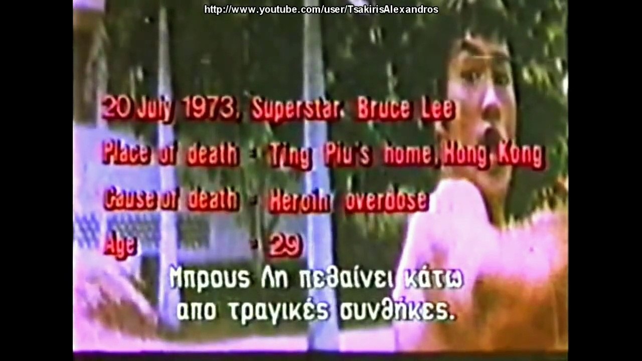 Τα Νιντζάκια 1986 - Young Dragons - Kung Fu Kids