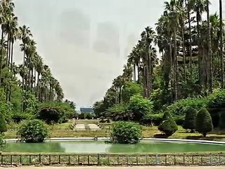 ALGER LA BLANCHE