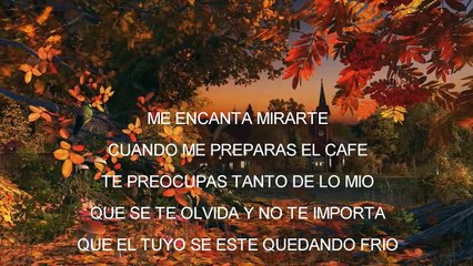 ¡Descubre cuánto te quiero con esta emotiva canción! ❤️