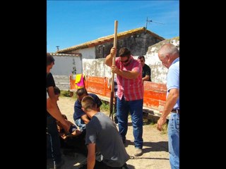ferrade à la manade rébuffat