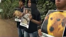 Protesta contra prácticas con animales en Alas Peruanas