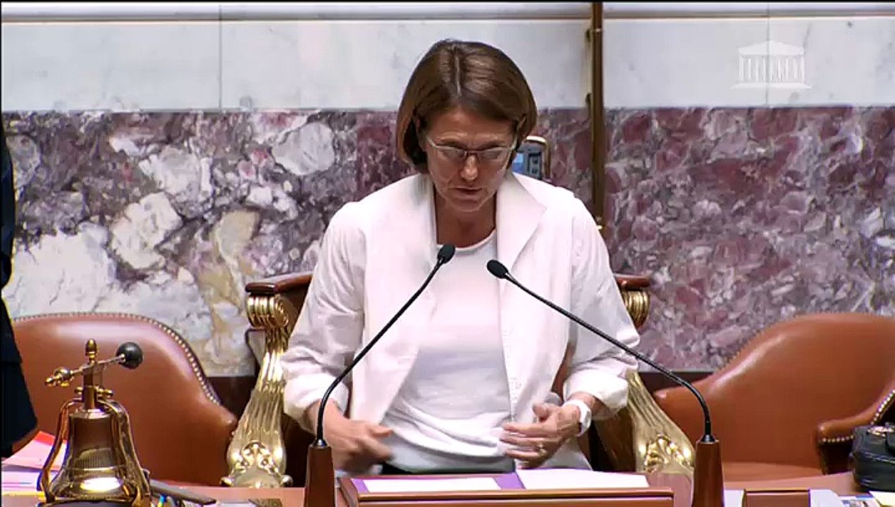 Discours de Ségolène Royal : lecture définitive du projet de loi sur la transition énergétique pour la croissance verte
