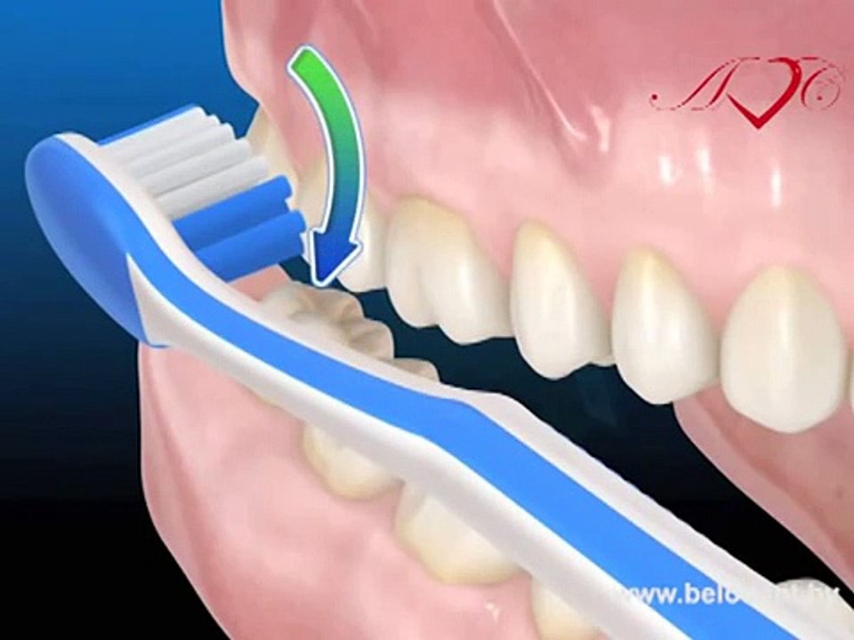 Как правильно чистить зубы. Белые и здоровые зубы в домашних условиях. Как правильно чистить язык.