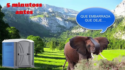 LOS PEORES TRABAJOS | ANDRES ERAL