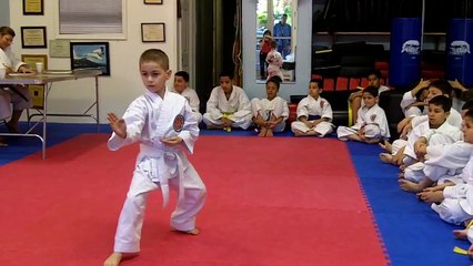 Mount Vernon Traditional Shotokan Karate-do -White belt Test