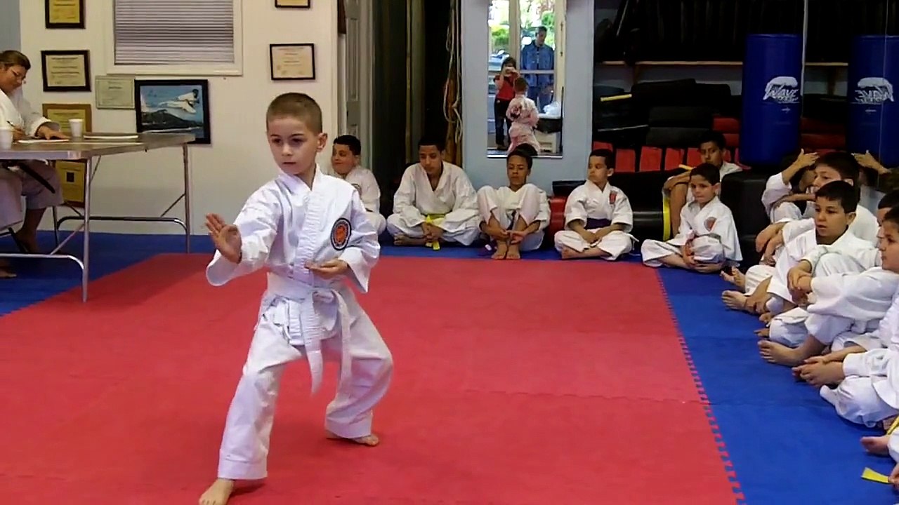 Mount Vernon Traditional Shotokan Karate-do -White belt Test