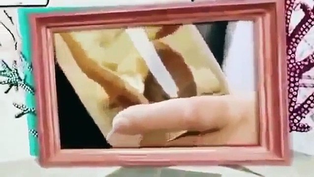 National Geographic Animal 2014 Documentary Natures Weirdest Events Full Documentary Animal HD