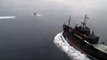 Operation Musashi - Sea Shepherd Confronts Japanese Whaling Fleet - シーシェパード
