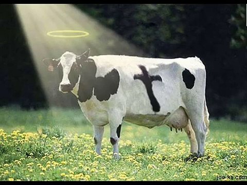 Devil's Oil - Music & Video by Andi Hayes BP Oil Spill