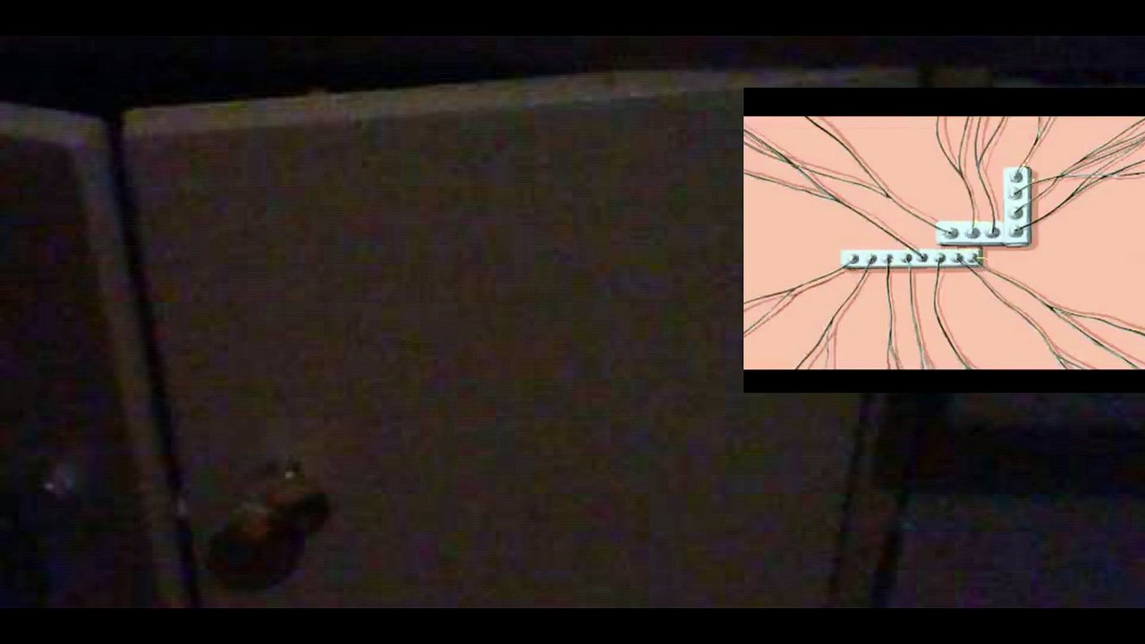 regno_films Originals: All Toasters Toast Toast