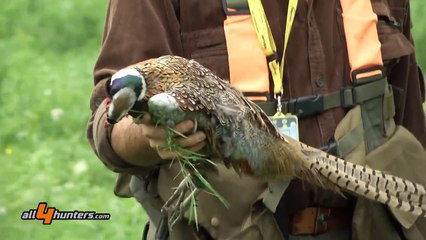 Benelli Raffaello Power Bore 12