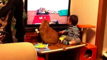 Cat, baby, and Rube Goldberg machine in work