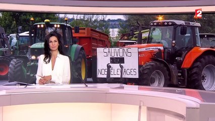 Les éleveurs lèvent l'essentiel des barrages, mais "restent sur leur faim"