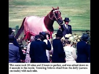 Phar Lap vs. Sunline