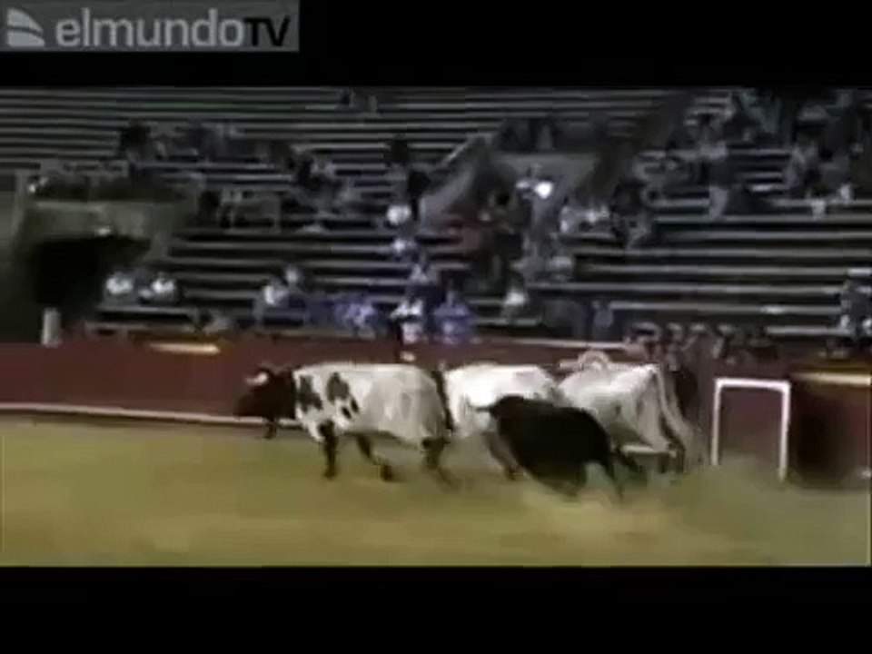 Incrivel!!! Acidentes fatais no mundo animal