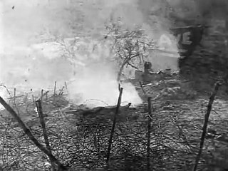 Laurel & Hardy im 1.Weltkrieg
