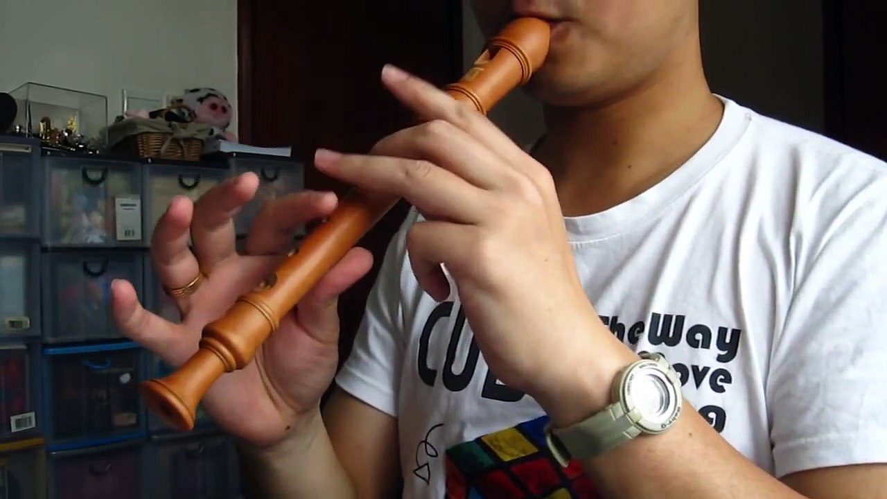 Recorder Solo ~ YOU RAISE ME UP