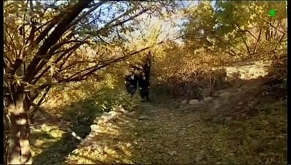 Sila - Epizodi 21