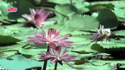 Aapki Aankhon Mein Kuch - Rekha, Ghar Song (Duet)