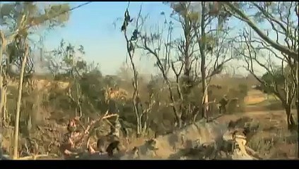 Escape to Chimp Eden - Tony