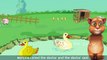 Animals Sound Tom Cat Rhyme | English  Nursery Rhyme | 3D Animated Cartoon And Song