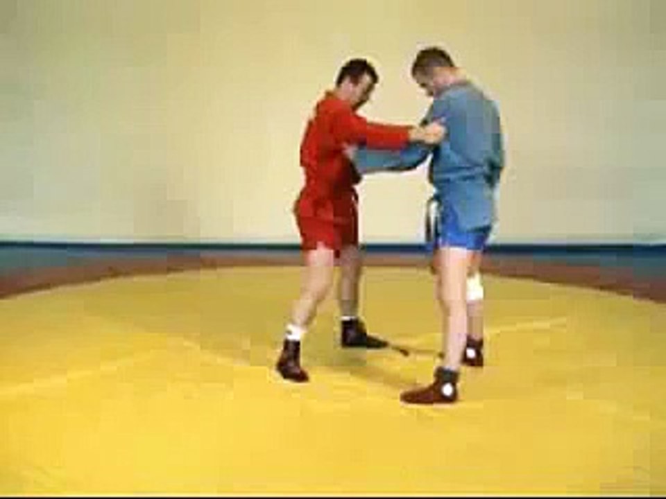 Показательные броски самбо