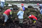 Marine Biology class at Hopkins Marine Station