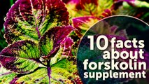 10 Facts About Forskolin Supplement