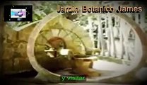 Castillo Surrealista James, jardin botanico James, el eden en Mexico, Saber, Conocer, Misterios y Enigmas, Español, Latino
