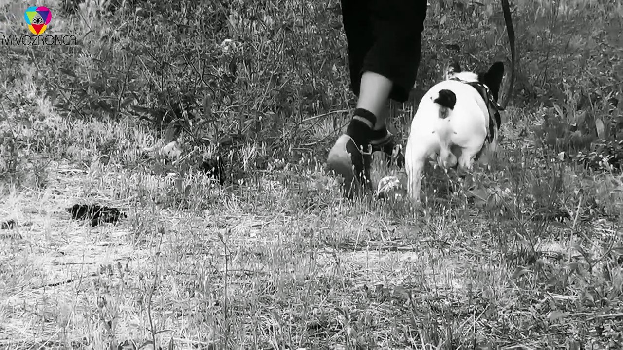 ABUÍN -JULIO- #7 //12MESES// [VIDEOCLIP]