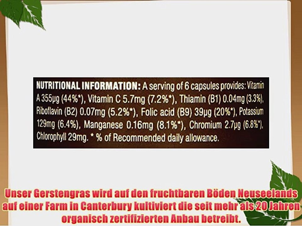 Rainforest Foods Neuseeland-Gerstengras-Kapseln 140 X 500Mg 1er Pack (1 x 70 g) - Bio