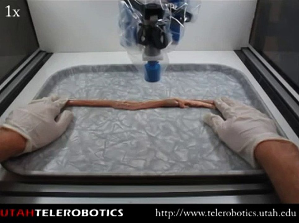 Magnetic Capsule Endoscope in Cow Intestine