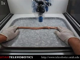 Magnetic Capsule Endoscope in Cow Intestine