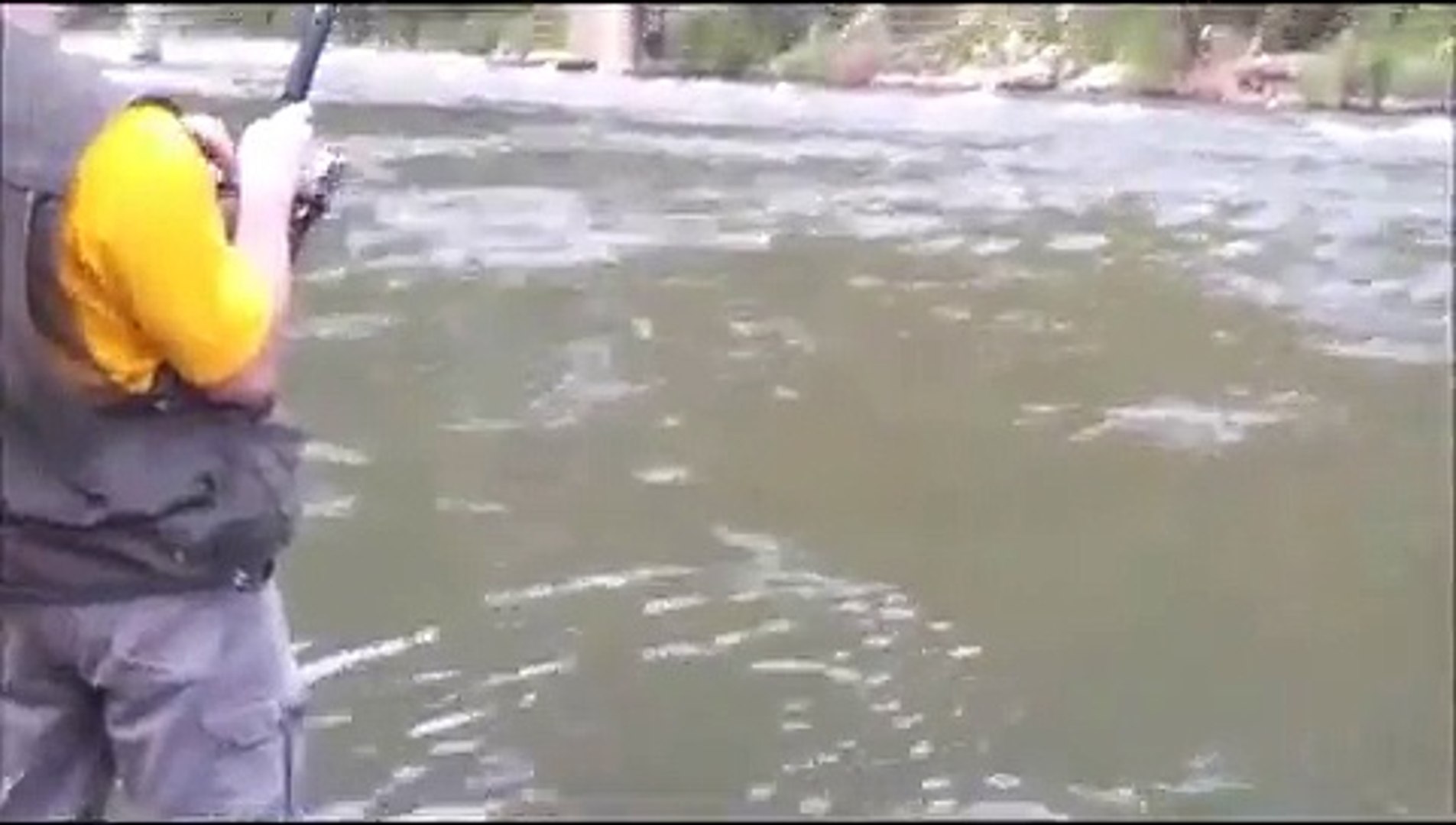 Ribolov bucova-bolena rijeka Bosna - video Dailymotion