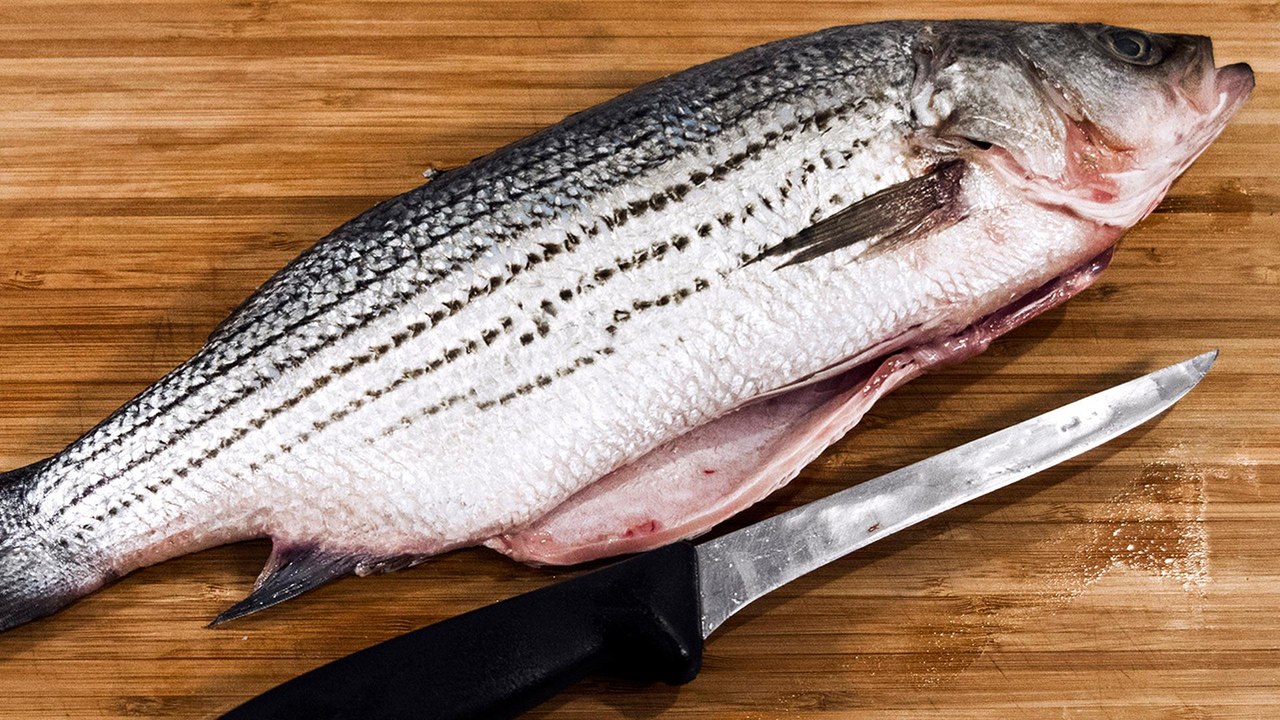 How to Filet a Fish