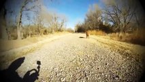 Dog meets her mom for first time since puppy-hood!