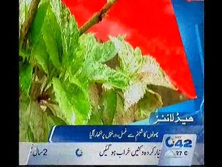 10PM Bulletin 22nd July 2015