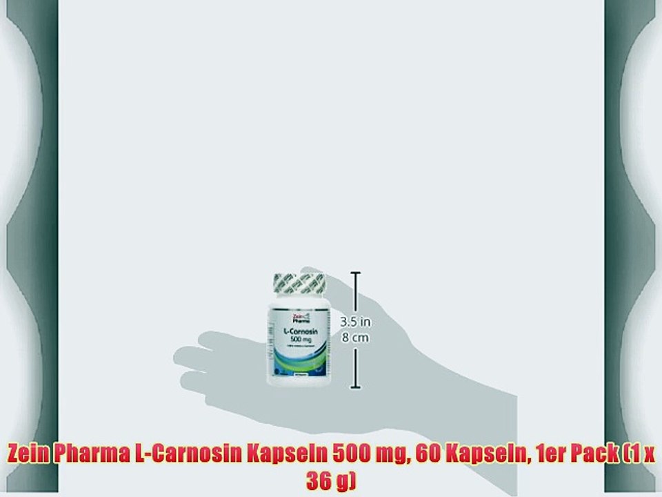 Zein Pharma L-Carnosin Kapseln 500 mg 60 Kapseln 1er Pack (1 x 36 g)