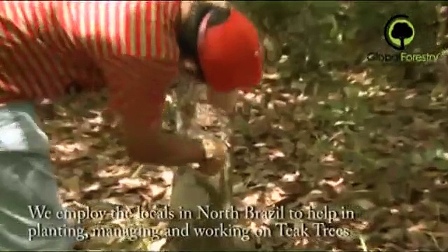 Ethical Investments Trailer – Global Forestry Investments [HQ]