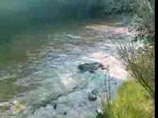 Traversée de bourbiers