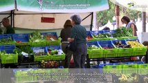 Supporting short supply-chains of local food Madeira case study